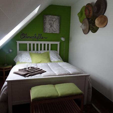 Chambres D'Hotes De La Voie Romaine Plouigneau エクステリア 写真